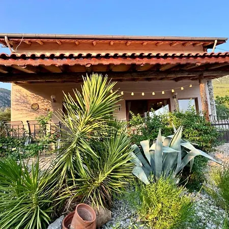 Olive Φετιγιέ