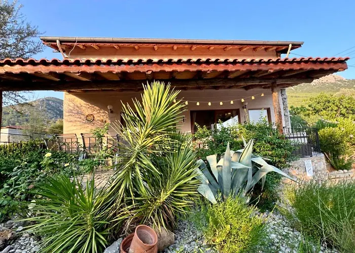 Olive Φετιγιέ