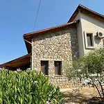 Olive Villa